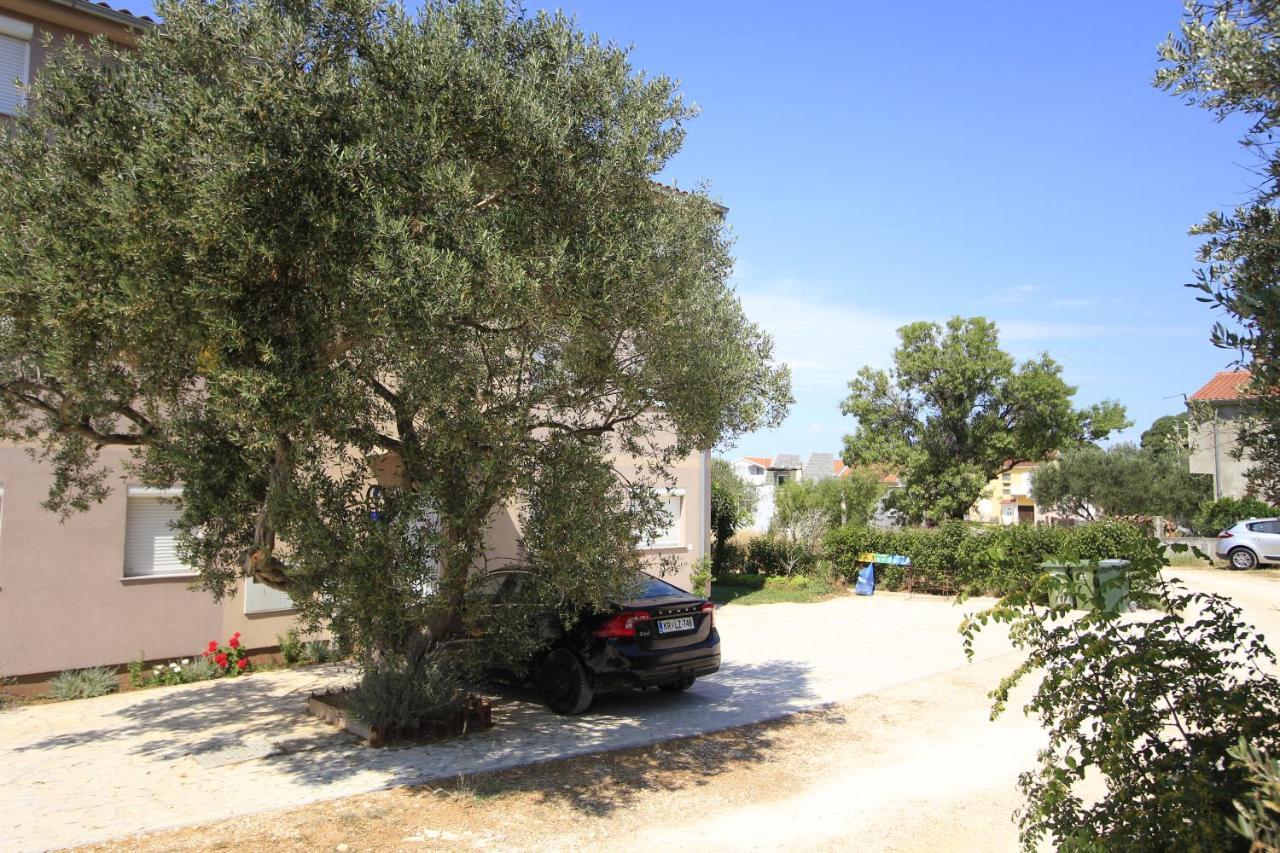 Apartmani Neja Bibinje Εξωτερικό φωτογραφία